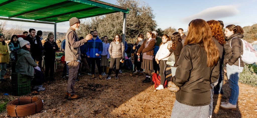 JLIC students helped clear olive orchards and harvested lettuce alongside farmer Dor Pintel